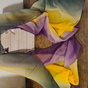 Long and Beautiful Colorblock Soft Scarf | NWOT